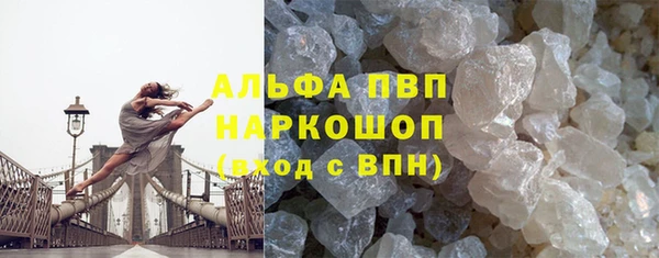 крисы Алзамай
