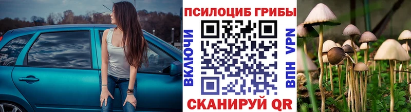 Галлюциногенные грибы Psilocybe  цены наркотик  Кукмор 
